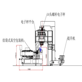 Z型提升机+14头电子秤+电子秤平台+给袋式真空包装机CAD平面图